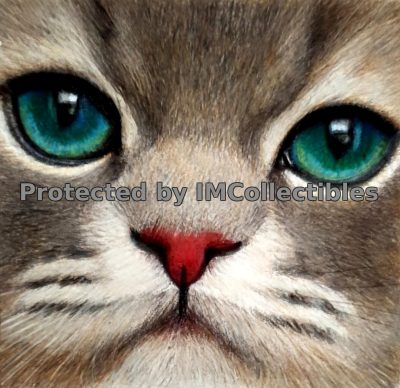 The Turquoise-Eyed Cat