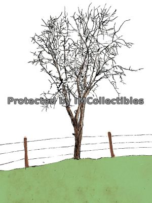 The Tree