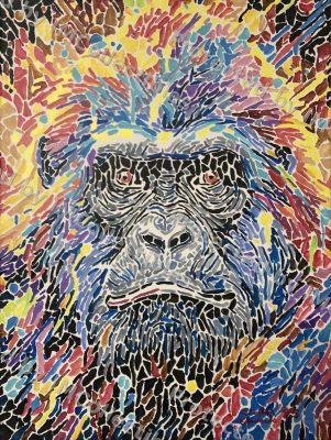 Not Your Average Gorilla