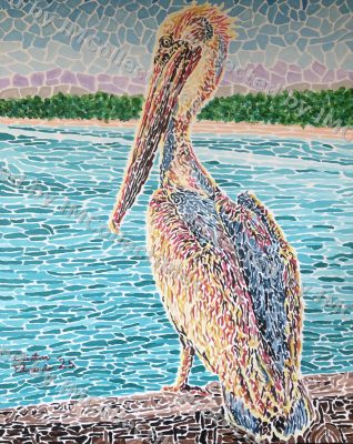Pelican