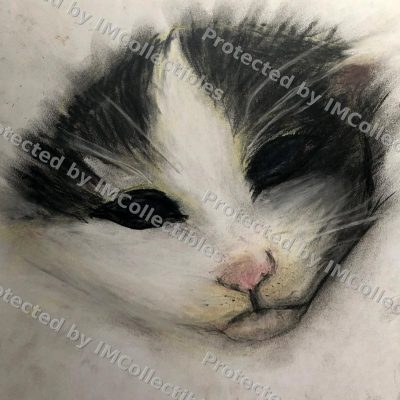 Newborn