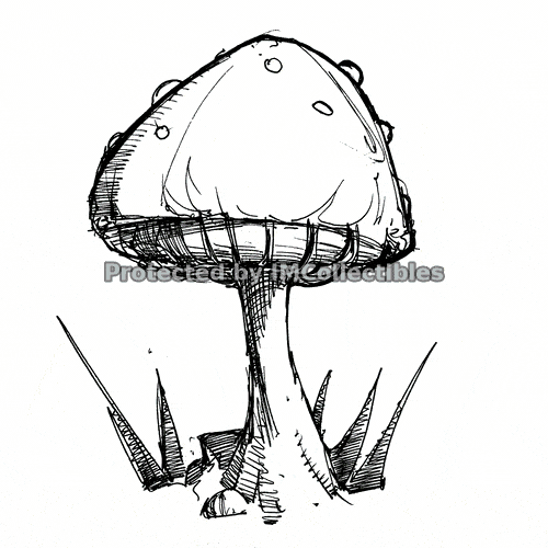 Mushroom Cap Collection