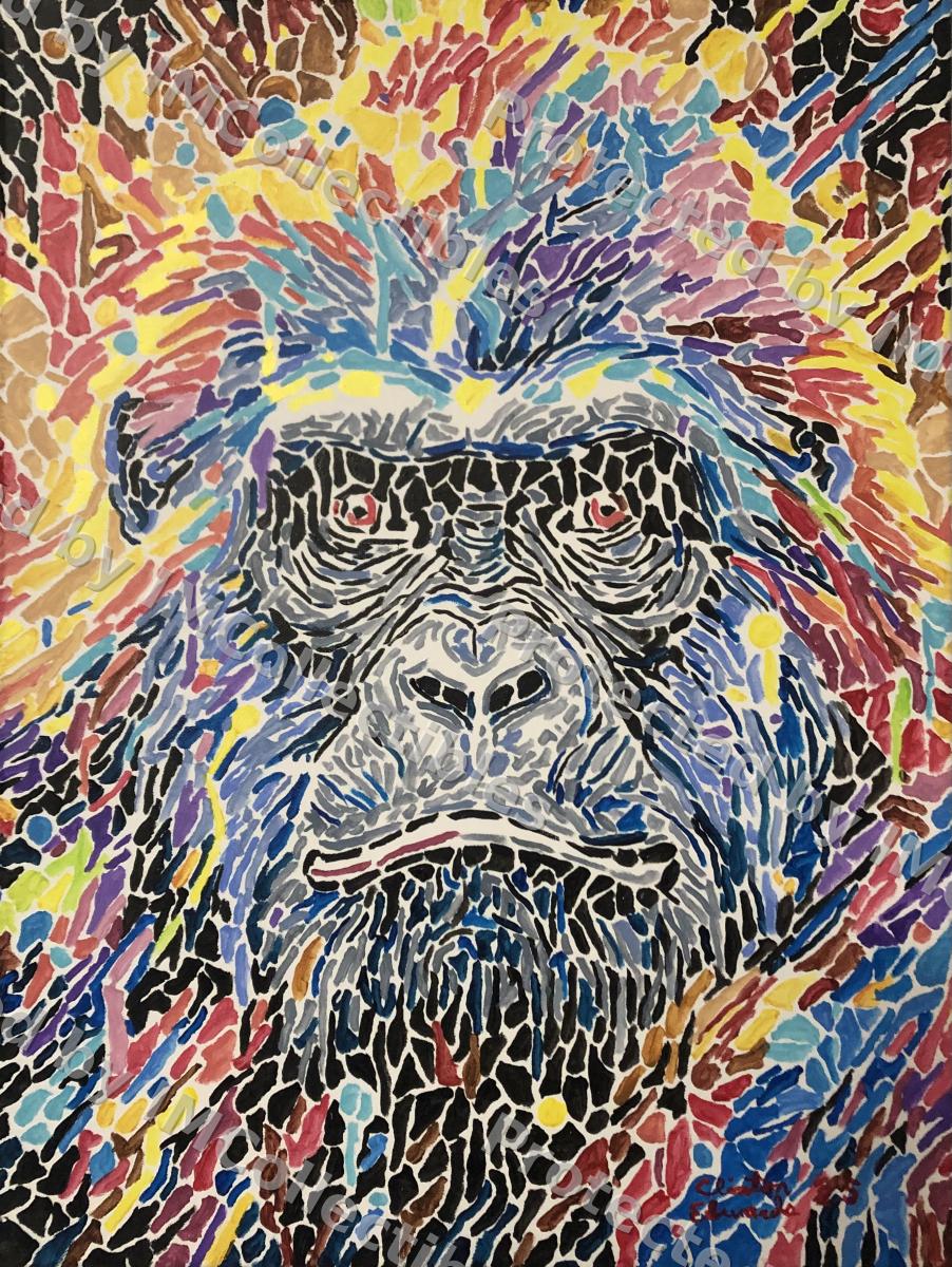 Not Your Average Gorilla